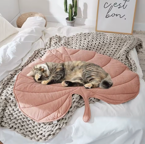 Cat resting comfortably on a soft cooling mat in a bright indoor setting
